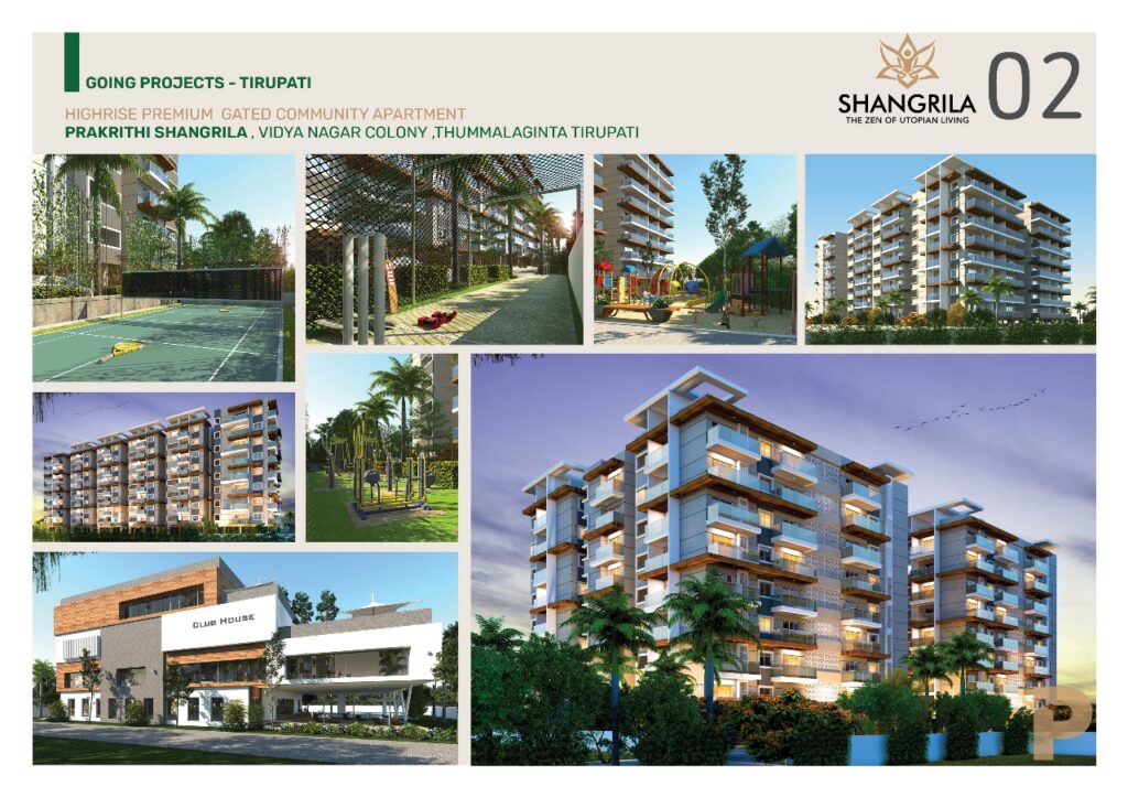 whatsapp image 2025 07 13 at 16.05.16 a8951970